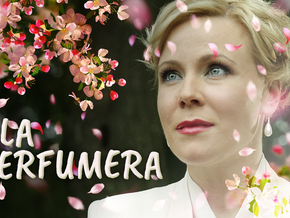 62ed6b9754bf6f87dc36ed3e8633e7ac